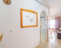Long Term Rentals - Apartament  - Torrevieja - La Mata