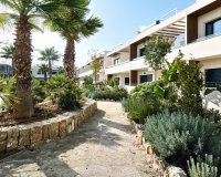 New build - Apartament  - Torrevieja