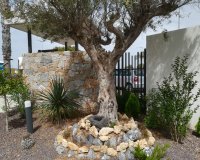 New build - Apartament  - Torrevieja