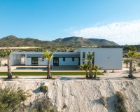 New build - Villa - Alicante - Pinoso
