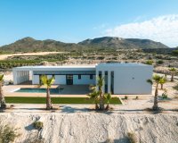 New build - Villa - Alicante - Pinoso