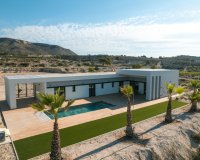 New build - Villa - Alicante - Pinoso