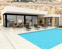 New build - Villa - Alicante - Pinoso