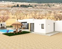 New build - Villa - Alicante - Pinoso
