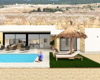 New build - Villa - Alicante - Pinoso