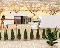 New build - Villa - Alicante - Pinoso