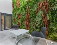 New build - Villa - Ciudad Quesada