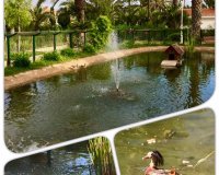 New build - Villa - Murcia