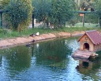 New build - Villa - Murcia