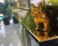 Новостройки - Вилла - Torrevieja - Торревьеха