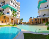 Nuevo - Apartamento - Alicante