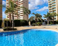 Nuevo - Apartamento - Calpe