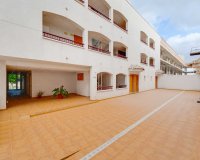 Nuevo - Apartamento - Ciudad Quesada - San Fulgencio