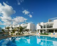 Nuevo - Apartamento - Mil Palmeras