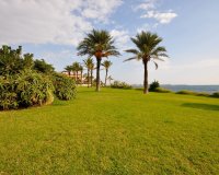 Nuevo - Apartamento - Torrevieja  - Torrevieja