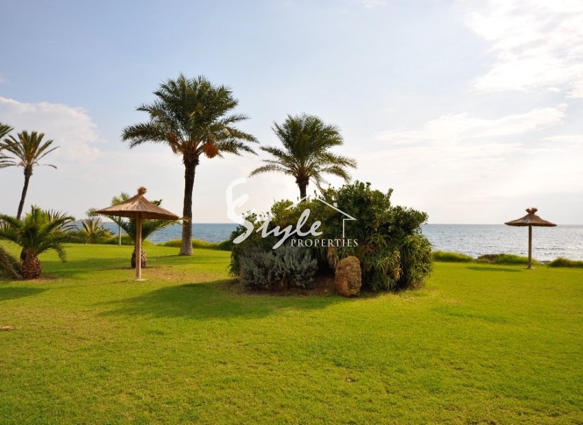 Nuevo - Apartamento - Torrevieja