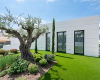 Nuevo - Detached - Molina de Segura