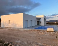 Nuevo - Villa - Alicante - Pinoso