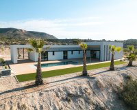 Nuevo - Villa - Alicante - Pinoso
