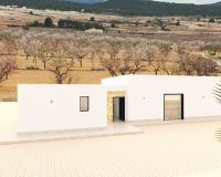 Nuevo - Villa - Alicante - Pinoso