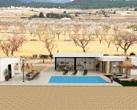 Nuevo - Villa - Alicante - Pinoso