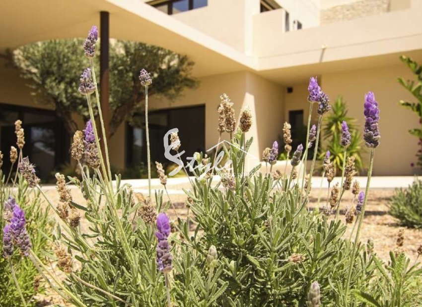 Nuevo - Villa - La Marina - La marina