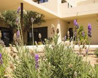 Nuevo - Villa - La Marina - La marina