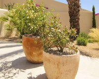 Nuevo - Villa - La Marina - La marina
