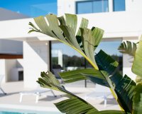 Nuevo - Villa - Los Montesinos - La Herada