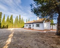 Nuevo - Villa - Murcia - Fuente Alamo