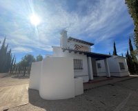 Nuevo - Villa - Murcia - Fuente Alamo