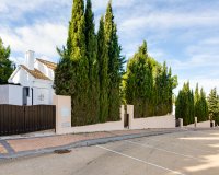 Nuevo - Villa - Murcia - Fuente Alamo