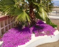 Nuevo - Villa - Murcia