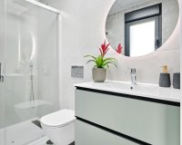 Nuevo - Villa - San Miguel De Salinas