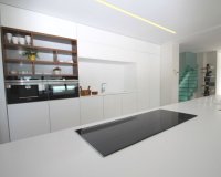 Nuevo - Villa - San Miguel De Salinas