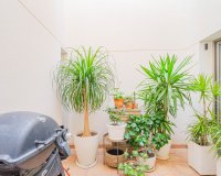 Resale - Adosado - Punta Prima