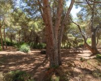 Resale - Apartament  - Orihuela-Costa - Altos de Campoamor