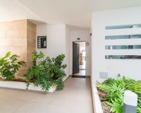Resale - Apartament  - Orihuela-Costa - Playa Flamenca