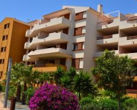 Resale - Apartament  - Punta Prima - Parque Recoleta