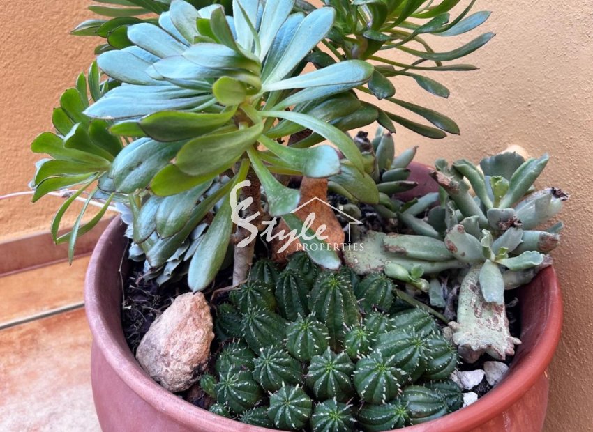 Resale - Apartament  - Punta Prima