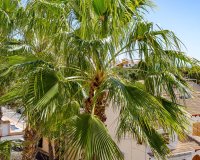 Resale - Apartament  - Punta Prima