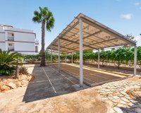 Resale - Apartament  - Punta Prima