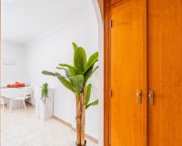 Resale - Apartament  - Torrevieja - La Siesta - El Salado - Torreta