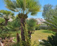 Resale - Apartament  - Torrevieja - Los Balcones