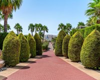 Resale - Apartament  - Villamartín - Playa Flamenca
