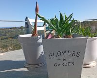 Resale - Apartament  - Villamartín - Villamartin