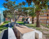 Resale - Apartamento - Arenales del Sol - Segunda linea playa