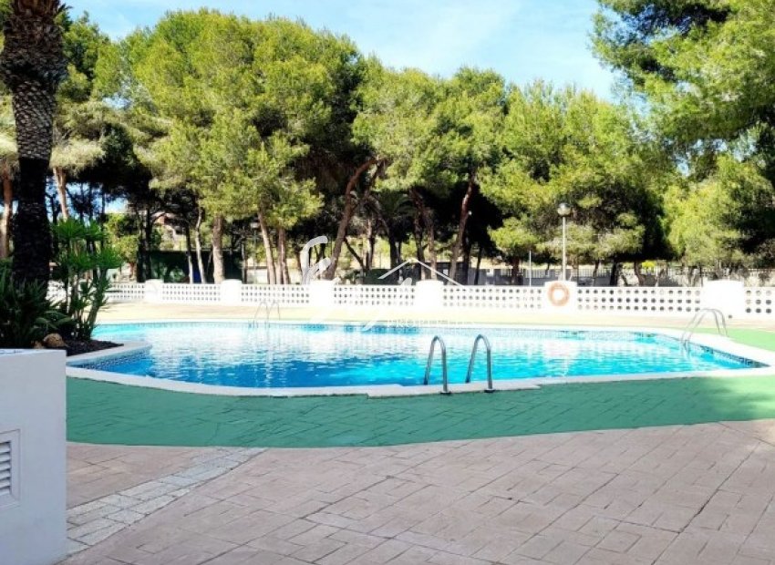 Resale - Apartamento - Campoamor - Dehesa de Campoamor