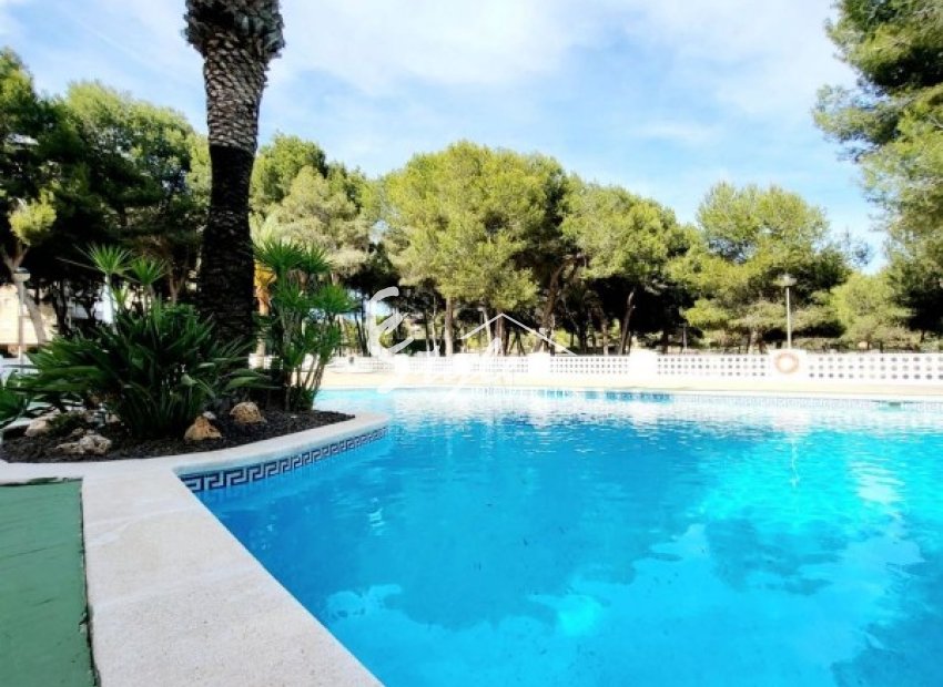 Resale - Apartamento - Campoamor - Dehesa de Campoamor