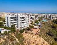 Resale - Apartamento - Los Dolses - Pimienta